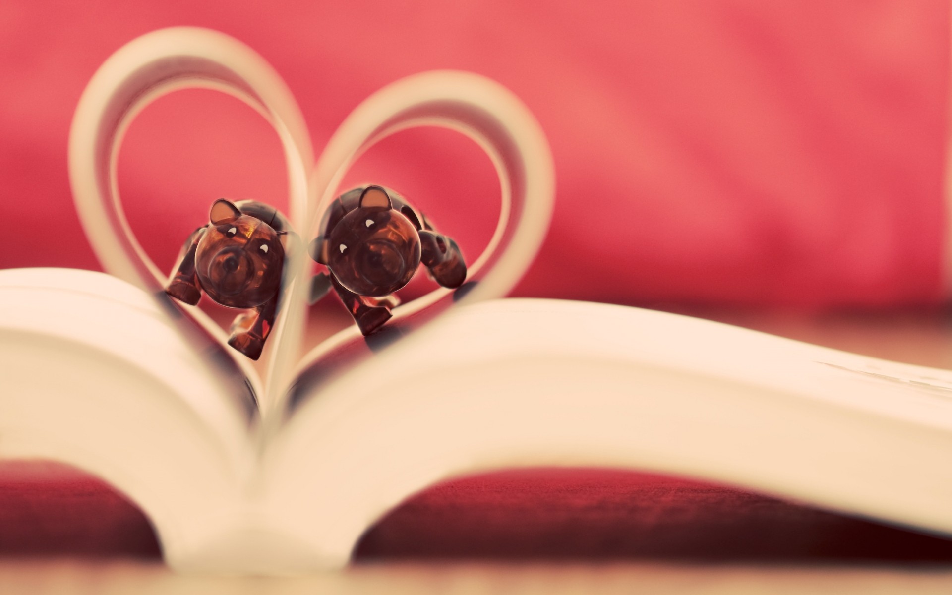 махаббат үйлену гүл романтика раушан натюрморт ішу жүрек