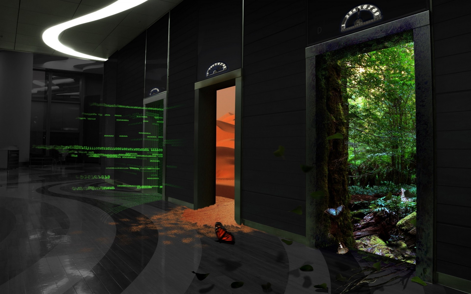 жарық пейзаж үй саяхат табиғат өнер техно көбелек фон