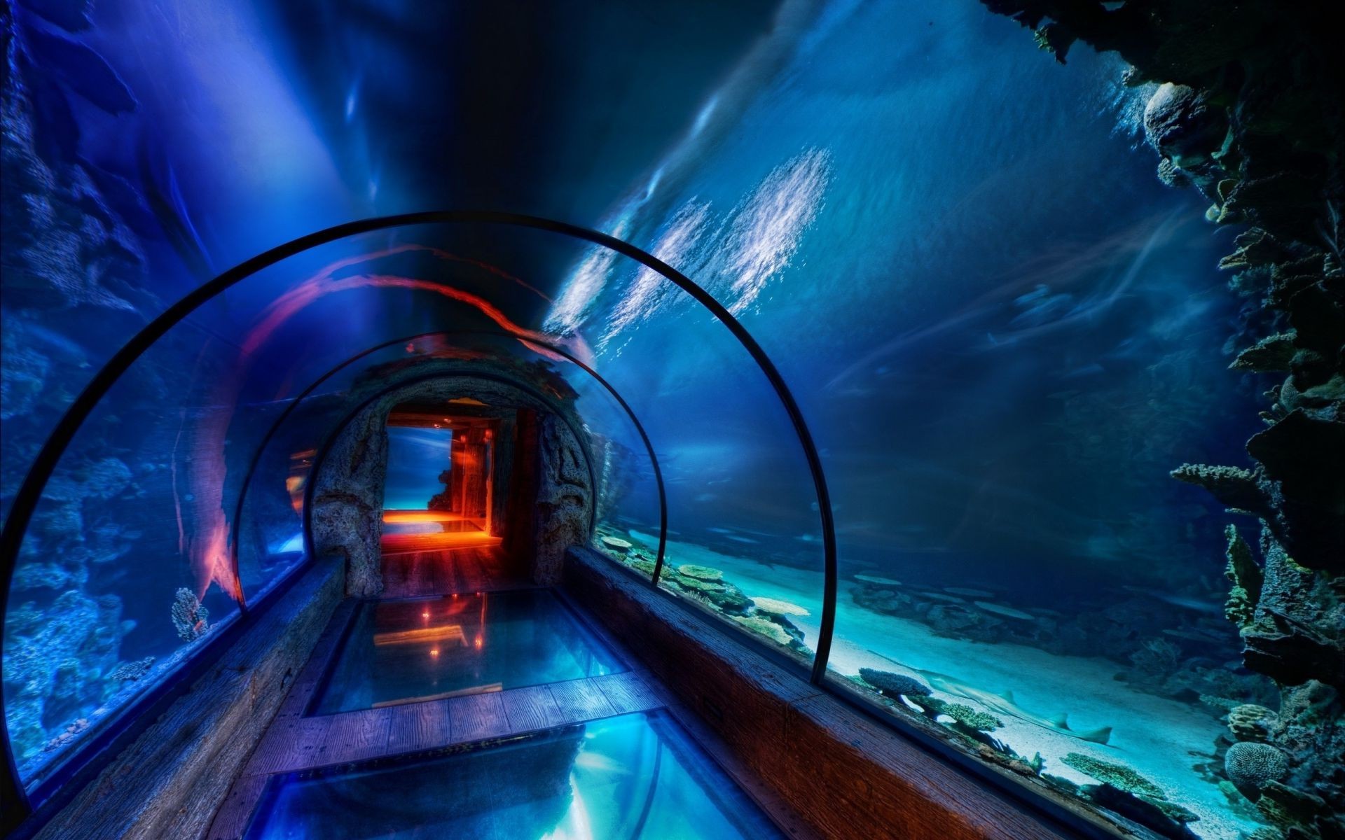 туннель жарық бұлыңғырлық саяхат көлік жүйесі қозғалыс кешке тығын