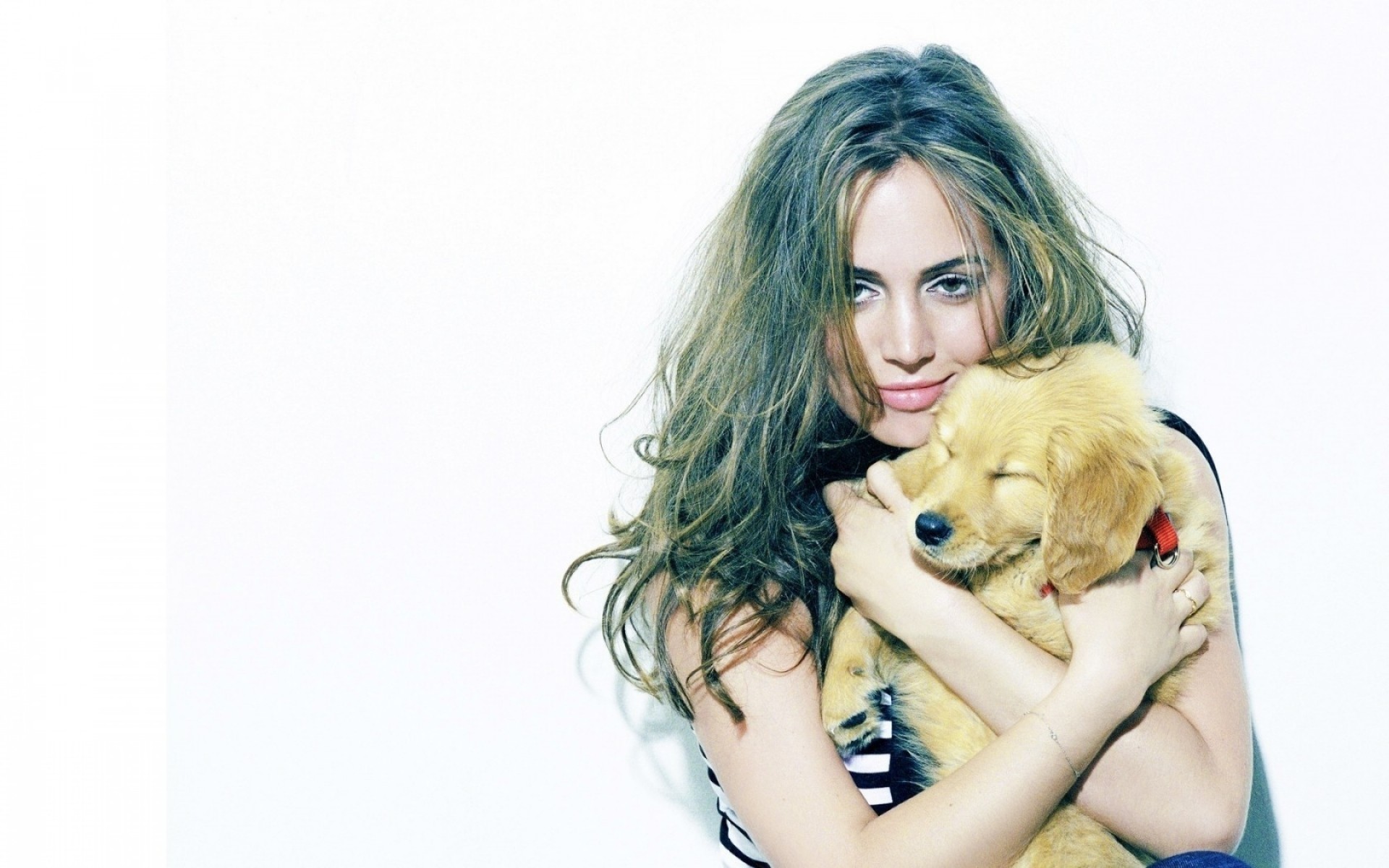 қыз әдемі жас әйел портрет сүйкімді студия сән жұмыс үстелі модель әдемі шаш сексуалды тартымды оқшауланған гламур бұйра күшік актриса