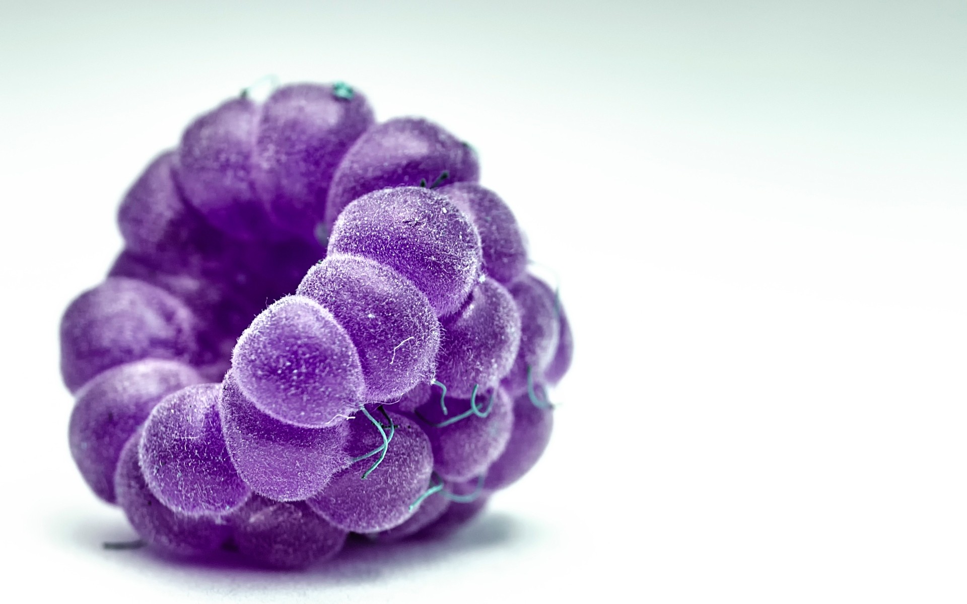 табиғат жұмыс үстелі жақыннан түс флора оқшауланған таңқурай макро жеміс жидек