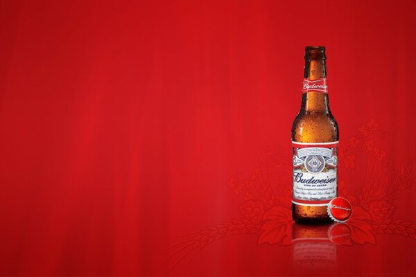 Қызыл стильді фонда Budweiser сырасы