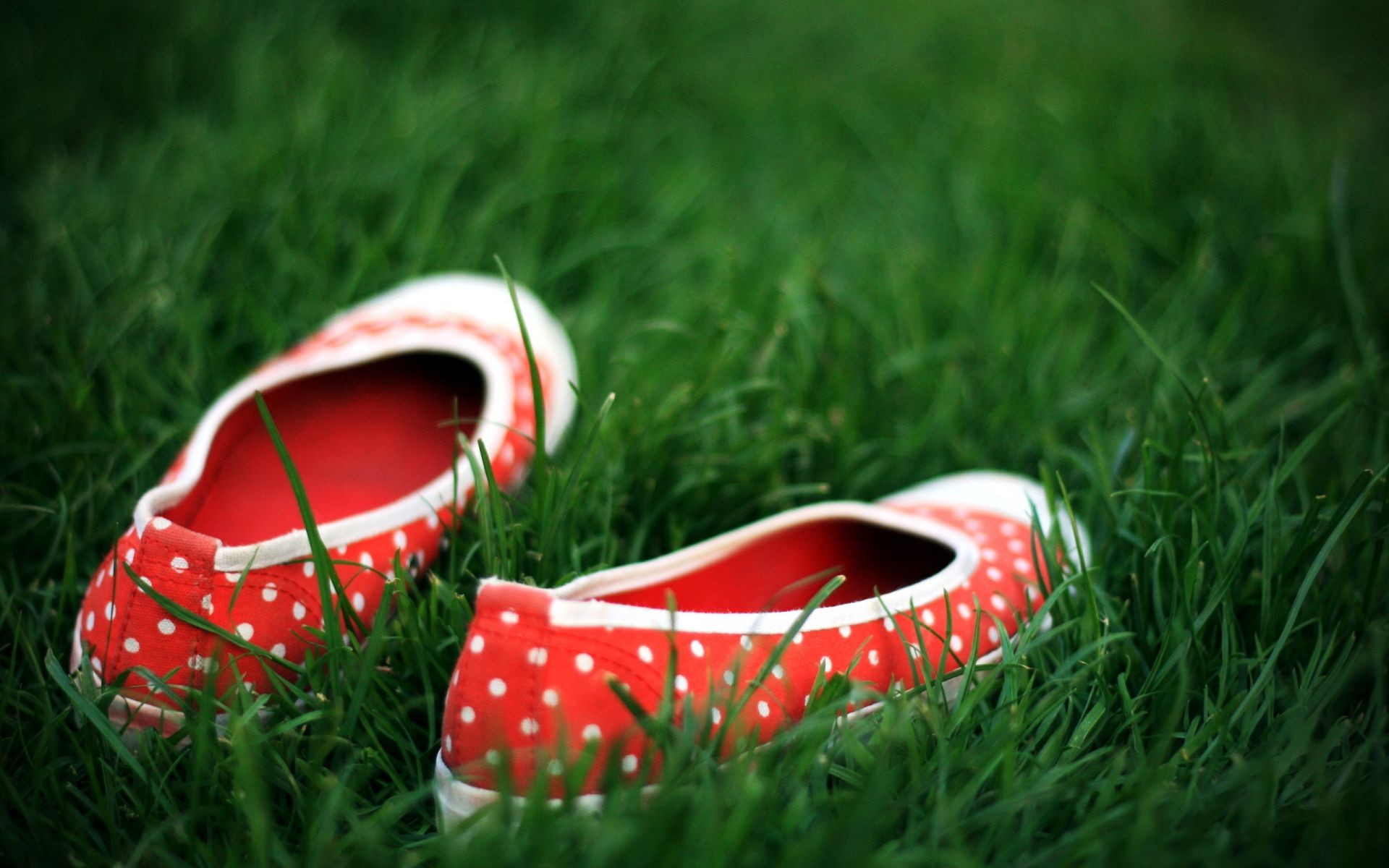 шөп жаз өріс былғары түс көгал демалыс аяқ киім ашық ауада екі шөп шабу жұп табиғат жақын