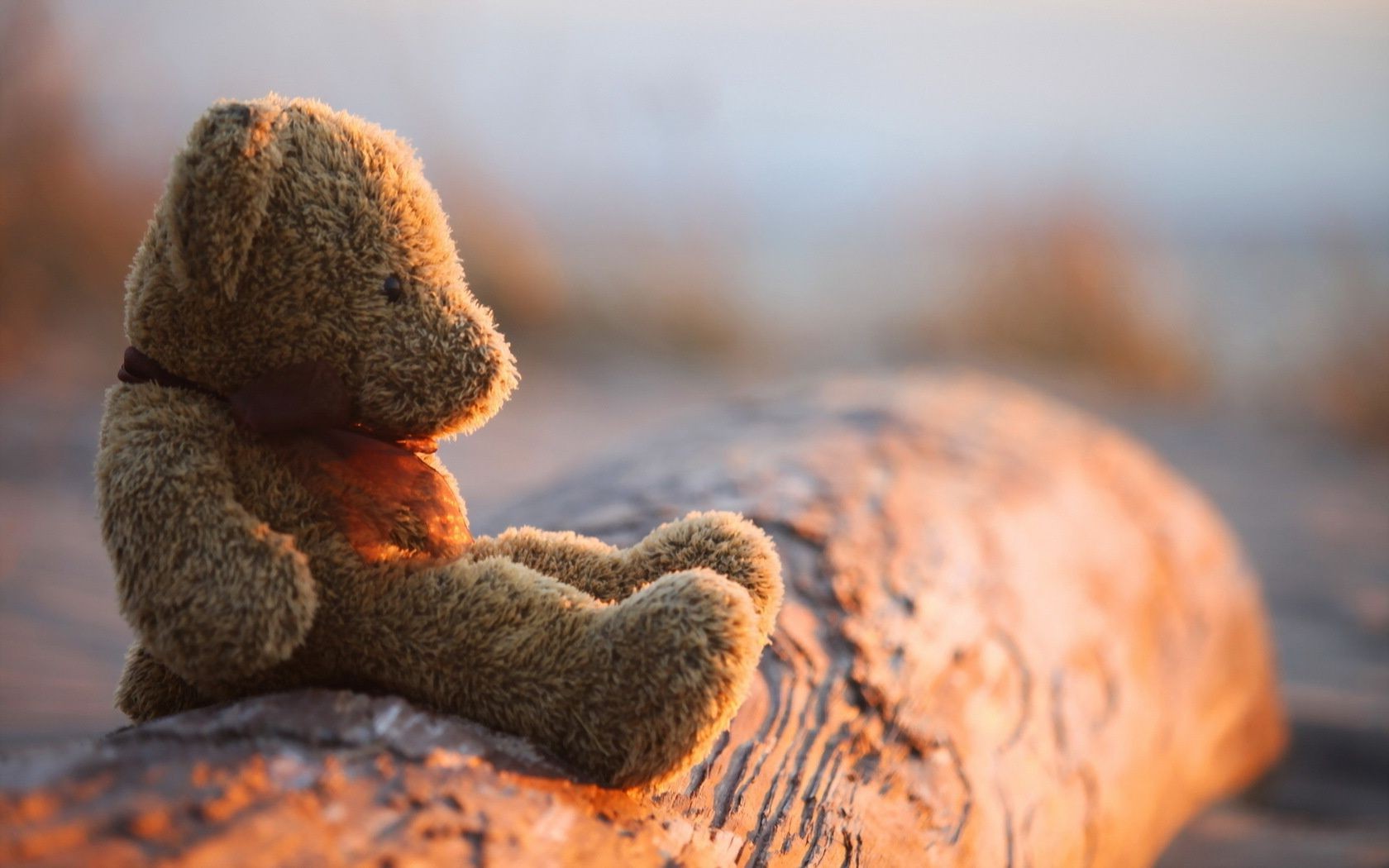 табиғат ашық ауада тамақ