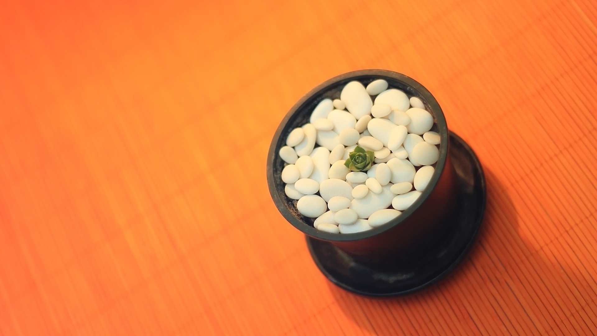 тамақ медицина жұмыс үстелі денсаулық тостаған ағаш натюрморт сау