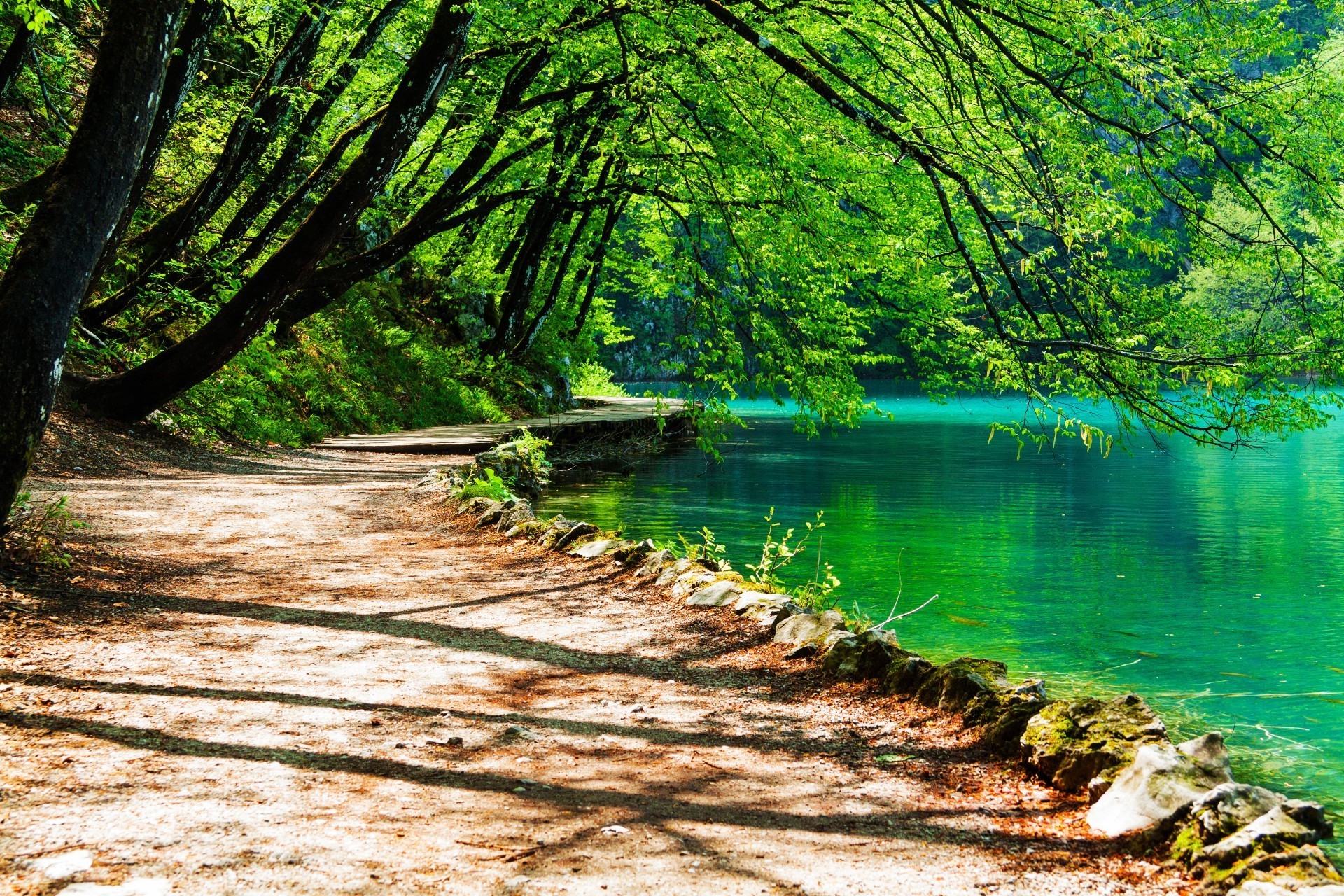 ағаш табиғат су ағаш пейзаж жапырақ жаз ашық ауада көркем жақсы ауа-райы саябақ маусым саяхат пейзаждар салқынқандылық күн пышным сахна