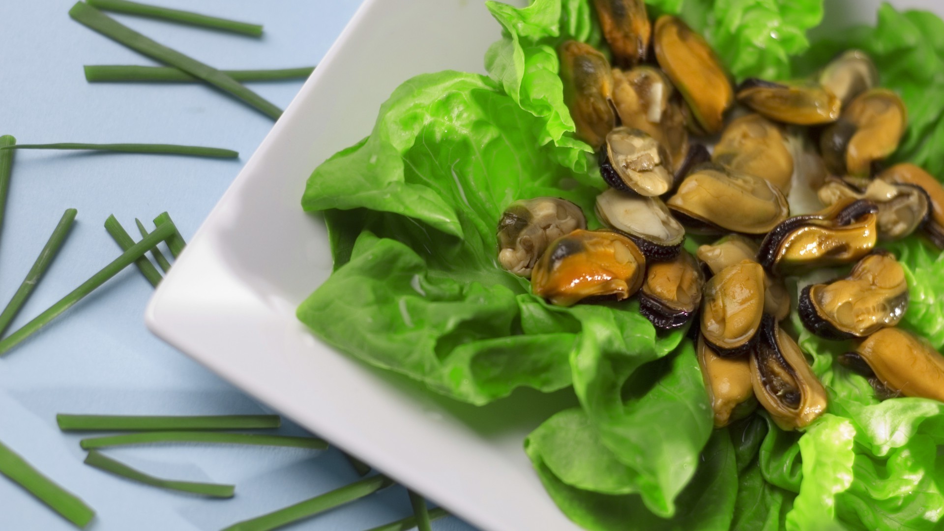 тамақ пайдалы көкөніс тамақтану ас үй жапырақ пісіру денсаулық диета салат тамақтану кешкі ас жақыннан тағам түскі ас дәмді эпикур жұмыс үстелі дәмді