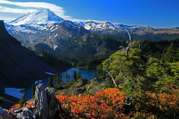 Таулардың, орманның, көлдің әдемі көрінісі