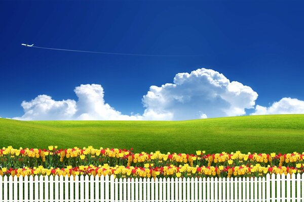Ауылдық жазғы көктем пейзажы