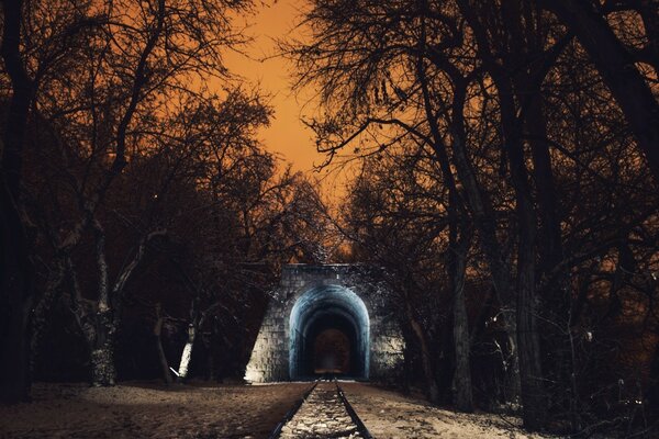 Қысқы ағаштар мен туннельдегі Жарық