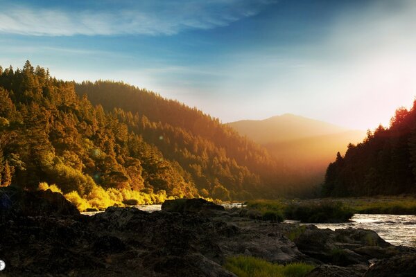 Нәзік күз орманды жауып тастады